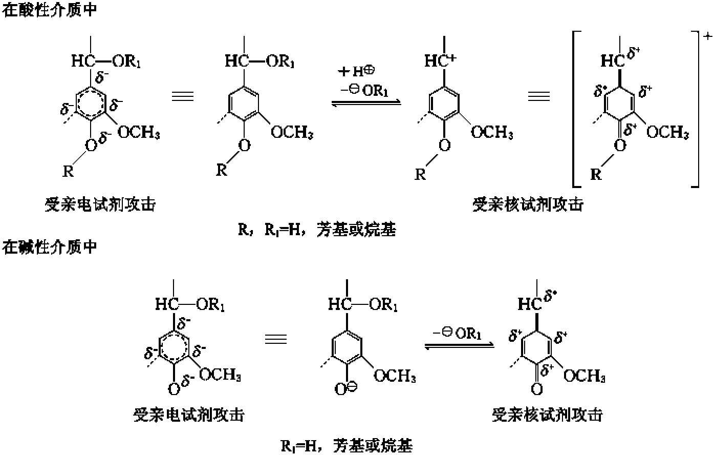 一、制漿和漂白中木質(zhì)素反應(yīng)的一般概念